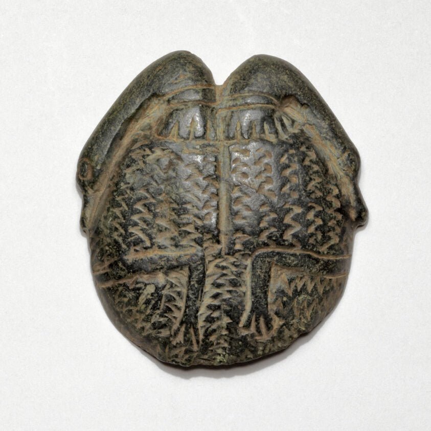 Cosmetic Saucer Decorated with Swans by  Egyptian, 23x16"( A2 size) Poster Print