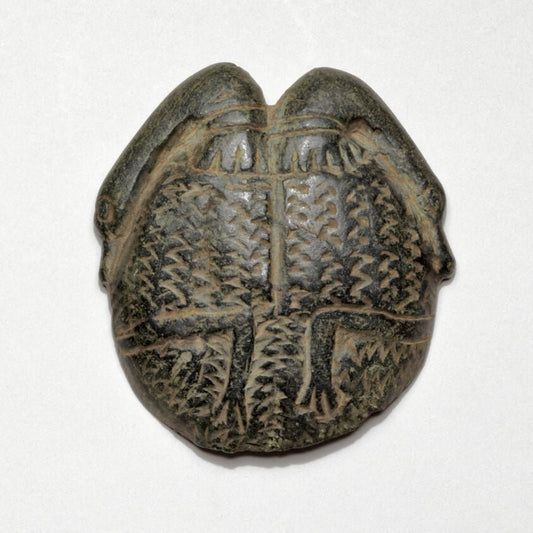 Cosmetic Saucer Decorated with Swans by  Egyptian, 23x16"( A2 size) Poster Print