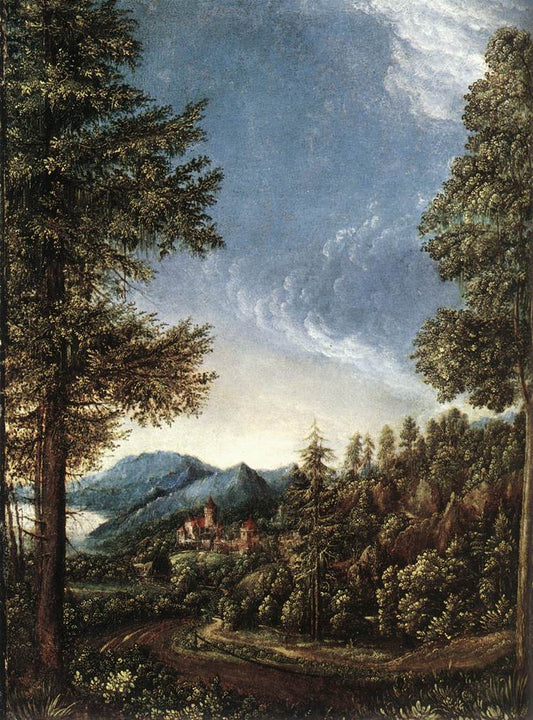 Danube Landscape with Castle Wörth near Regensburg, vintage artwork by Albrecht Altdorfer, A3 (16x12") Poster Print