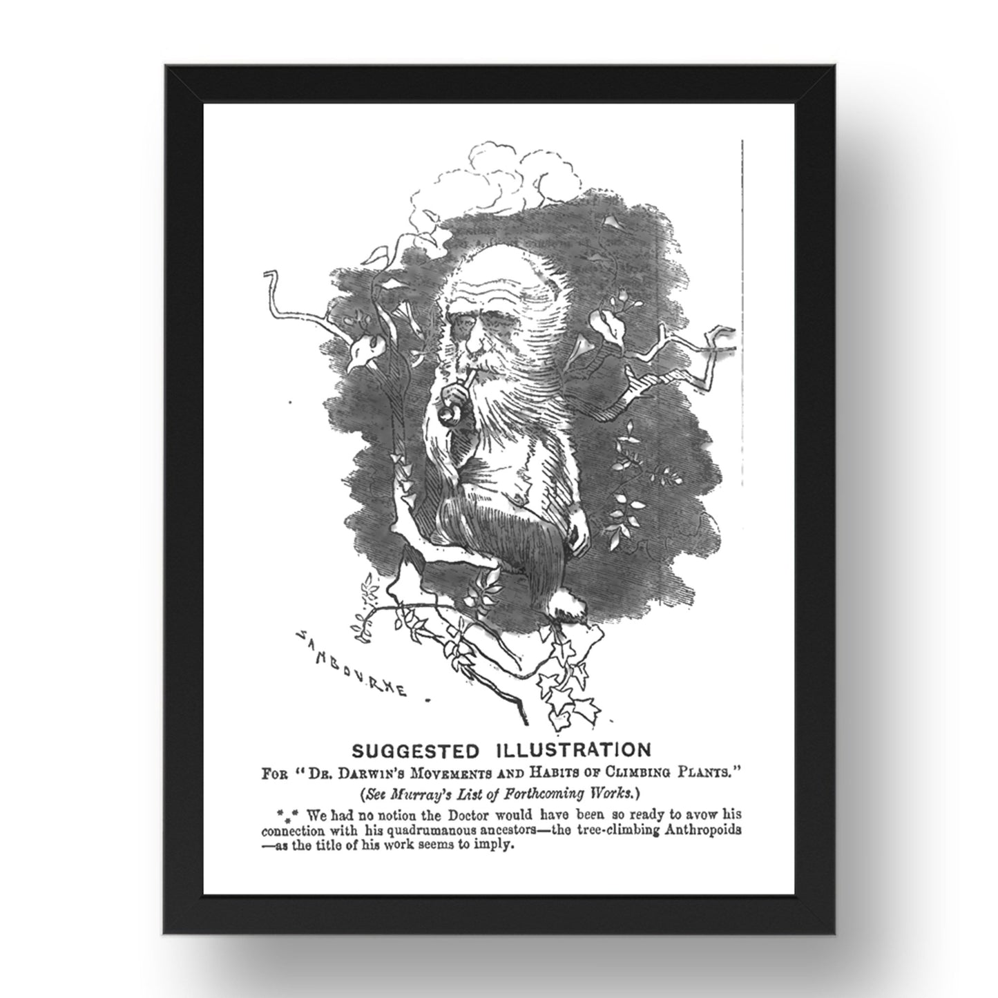 Darwin dec 11, vintage historic poster in 17x13"(A3) Frame