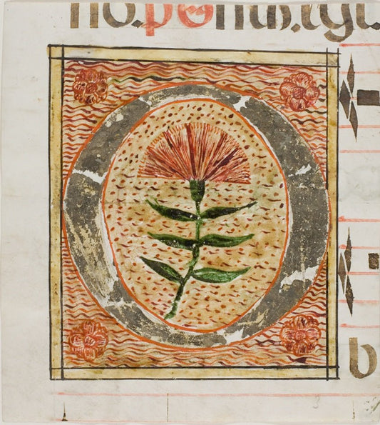 Decorated Initial "O" with Flowers from a Manuscript by  European,23x16"( A2 size ) Poster Print