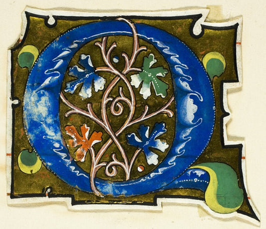 Decorated Initial "Q" in Blue with Four Oak Leaves from a Manuscript by  European,23x16"( A2 size ) Poster Print