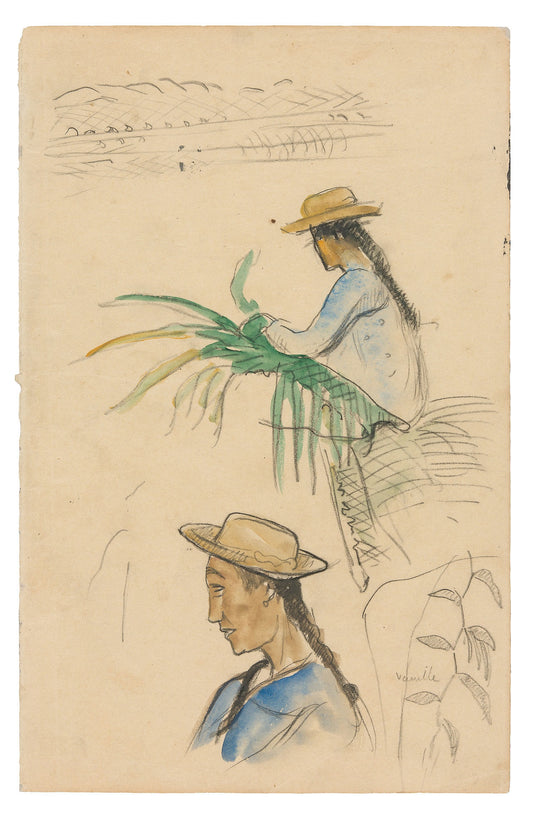 Sketches of Figures, Pandanus Leaf, and Vanilla Plant: Paul Gauguin,16x12"(A3) Poster