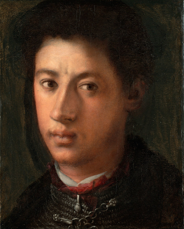 Alessandro de' Medici: Jacopo da Pontormo (Jacopo Carrucci),16x12