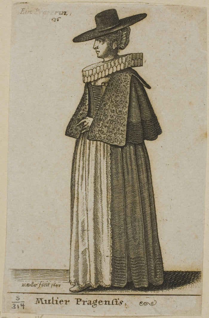 Woman from Prague: Wenceslaus Hollar,16x12