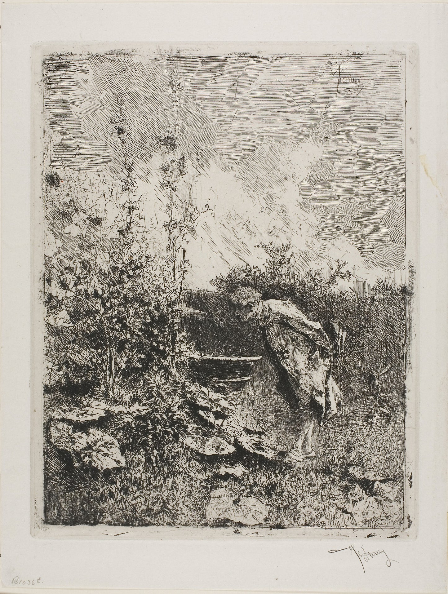 Amateur de Jardin -  Mariano José María Bernardo Fortuny y Carbó,  Poster Print Wall Art