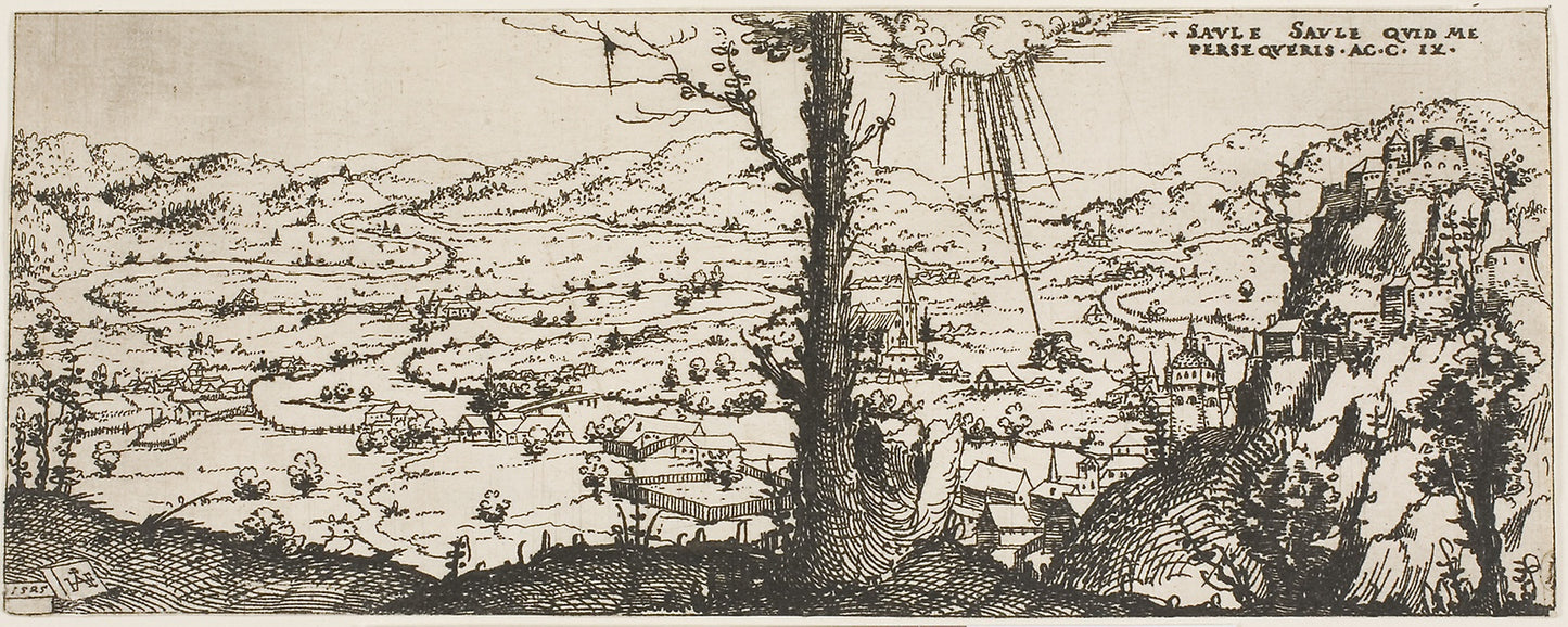 Landscape with a Tree in Center of Foreground -  Augustin Hirschvogel,  Poster Print Wall Art