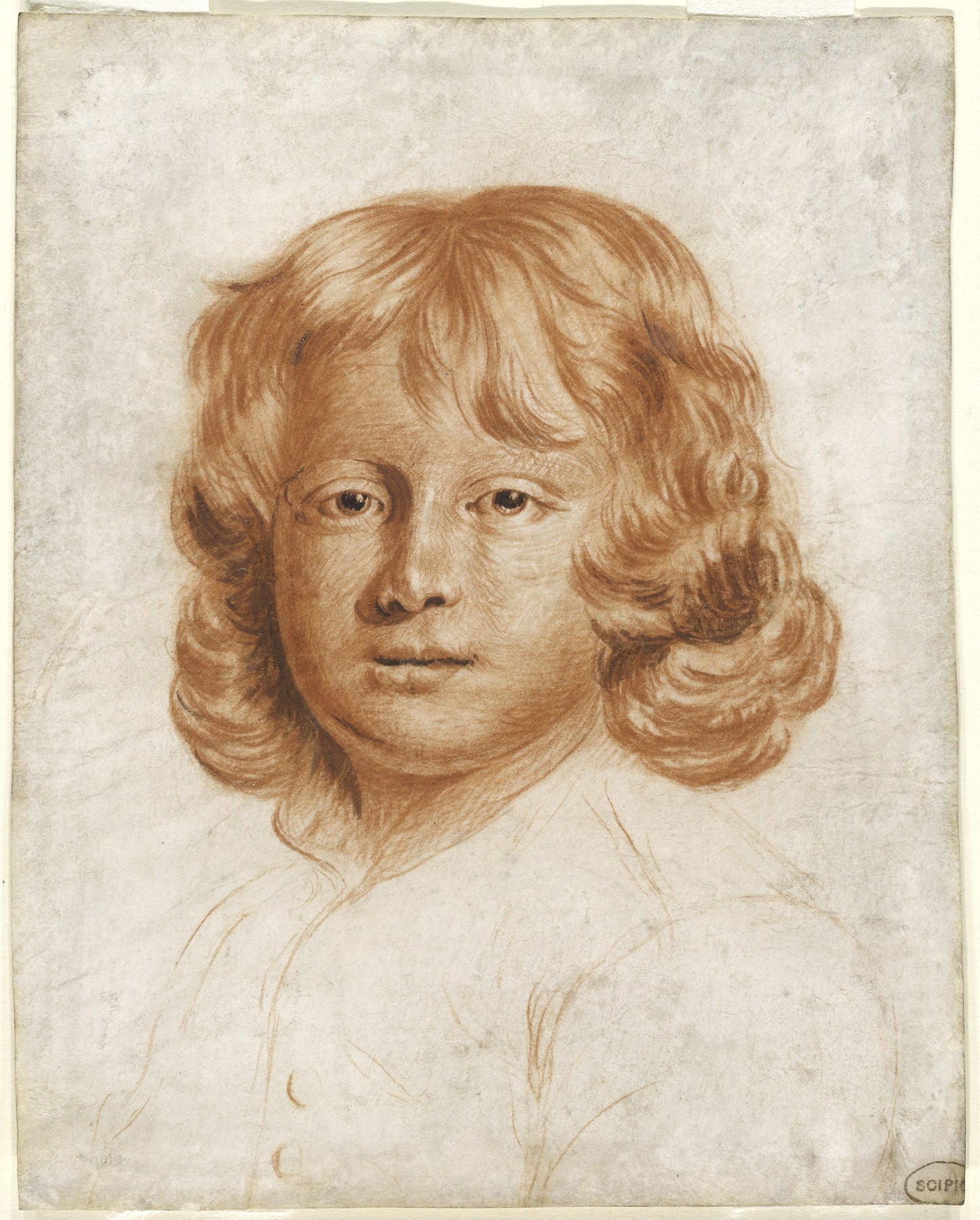 Portrait of a Young Boy -  Charles Beale,  Poster Print Wall Art