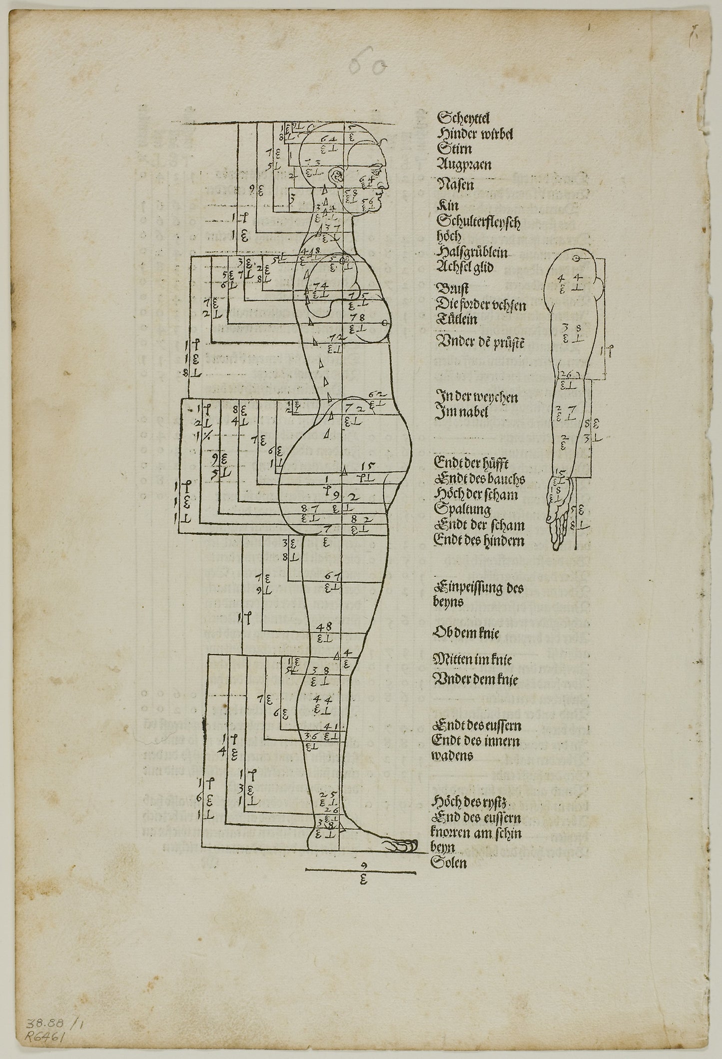 Illustration to Vier Bücher von der Menschlichen Proportion, plate one from Woodcuts from Books of the XVI Century -  Albrecht Dürer (German, 1471-1528),  Poster Print Wall Art