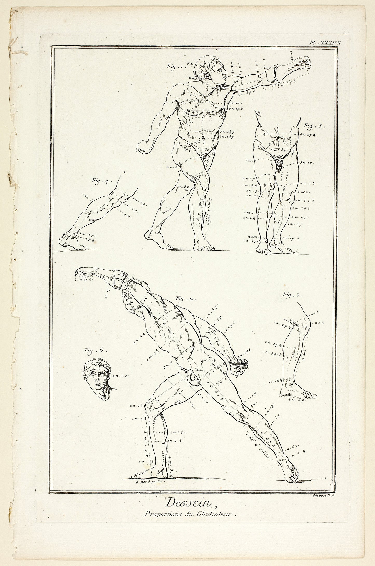 Design -  Proportions of the Gladiator, from Encyclopédie -  Benoît-Louis Prévost (French, c. 1735-1809),  Poster Print Wall Art