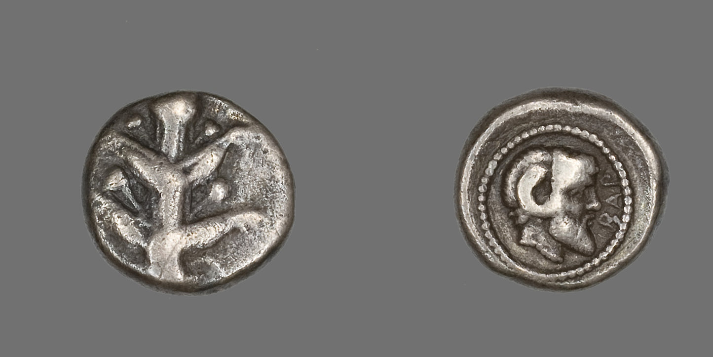 Coin Depicting Silphium Plant -  Greek,  Poster Print Wall Art