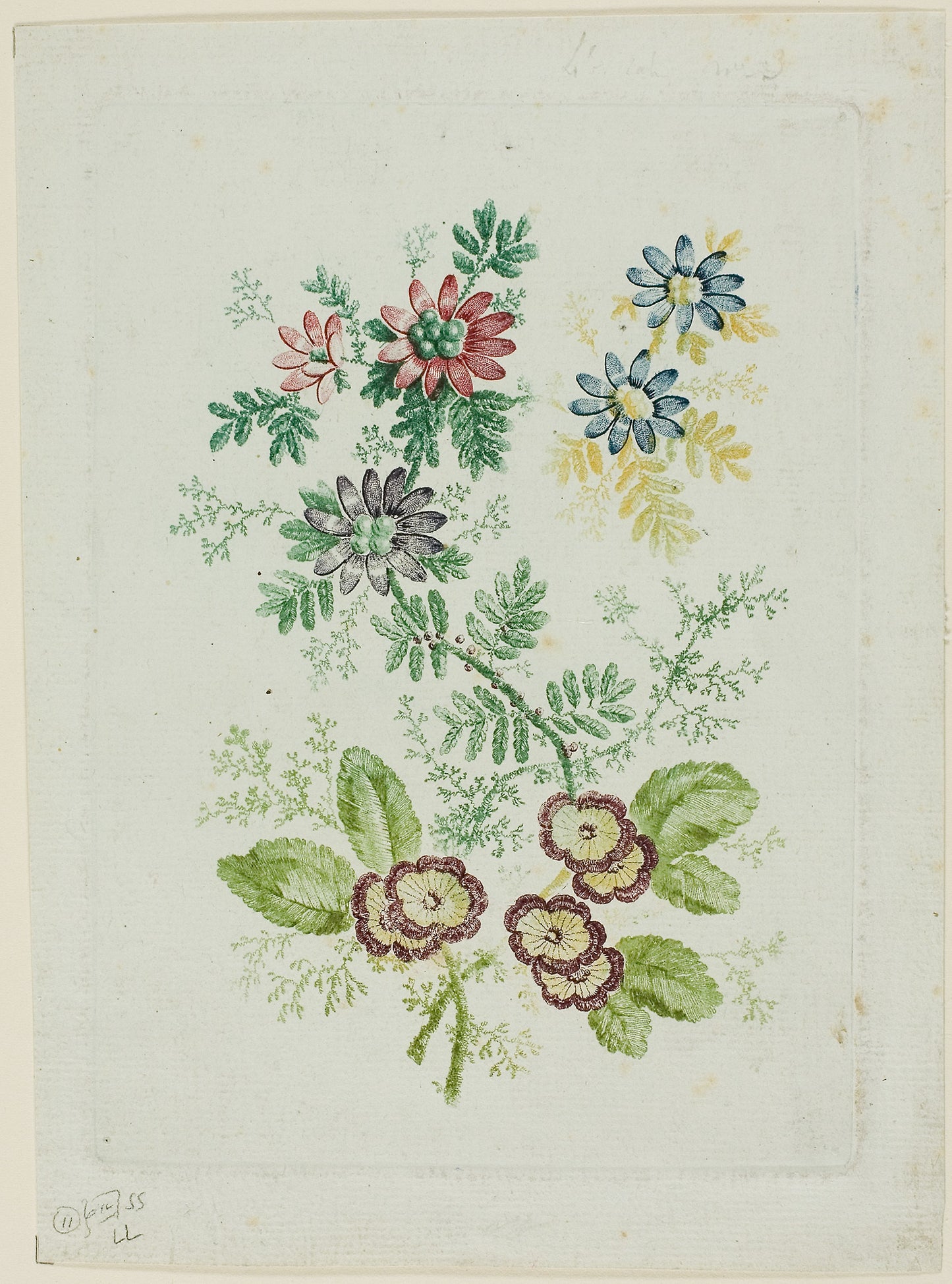 Flowers -  Anne Allen (English, born 1750),  Poster Print Wall Art