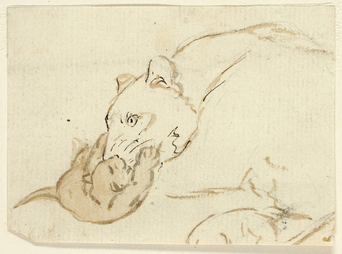 Five Sketches of Lions: Lioness with Cub: Henry Stacy Marks (English, 1829-1898),16x12