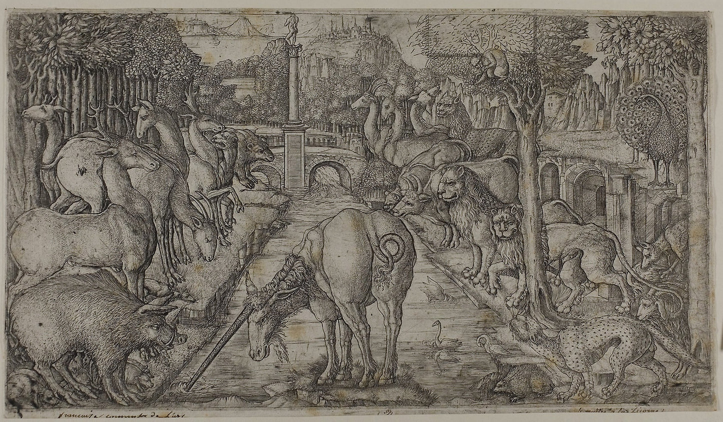 The Unicorn Purifying a Source -  Jean Duvet,  Poster Print Wall Art