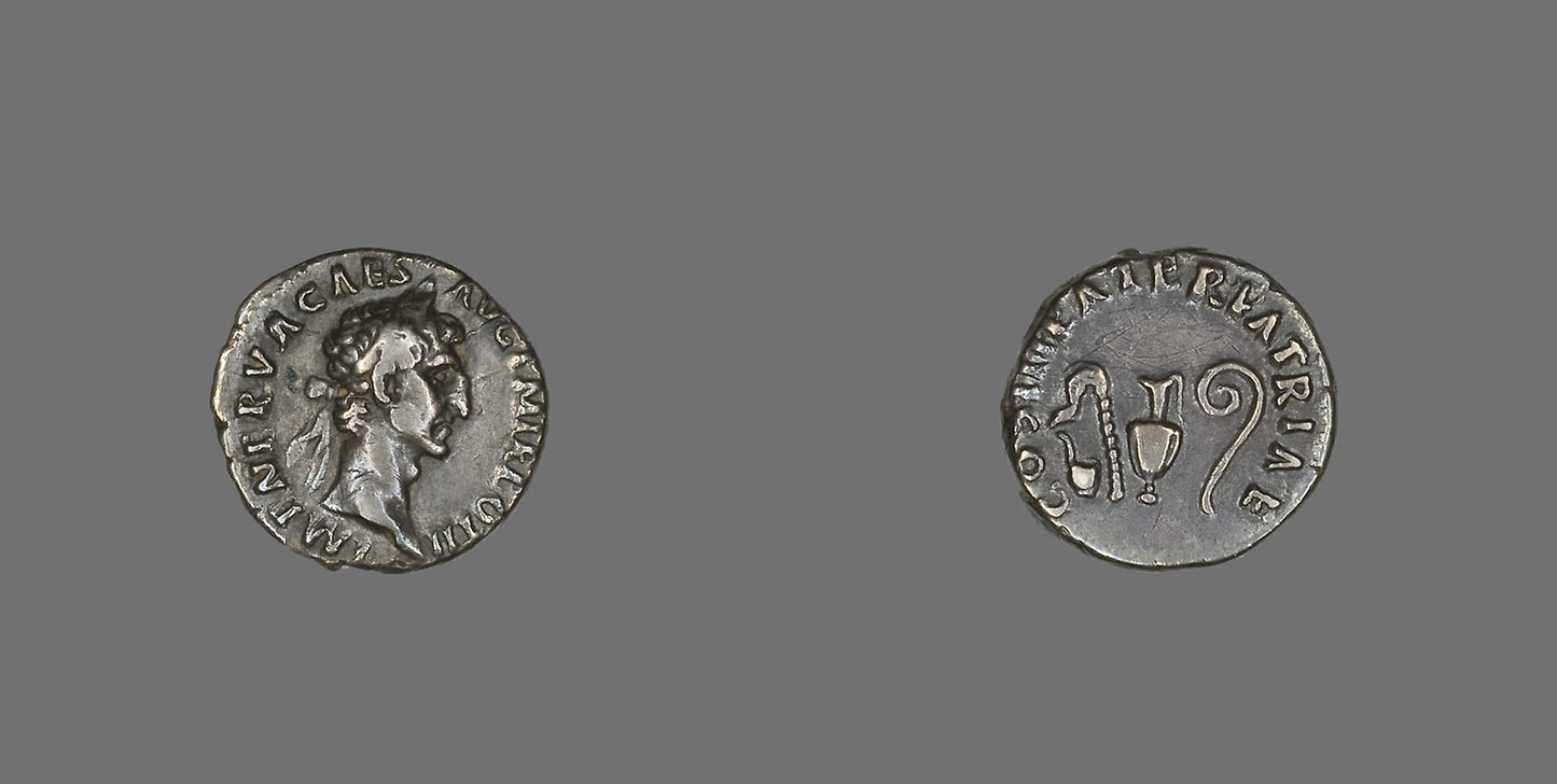 Denarius (Coin) Portraying Emperor Nerva -  Roman, minted in Rome,  Poster Print Wall Art