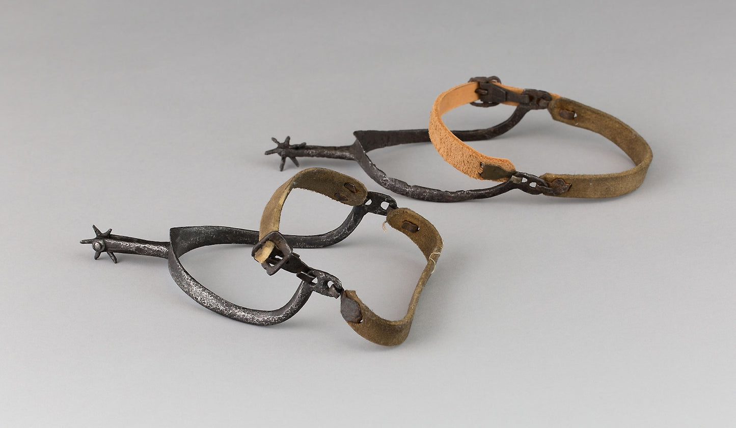 Pair of Spurs -  European,  Poster Print Wall Art