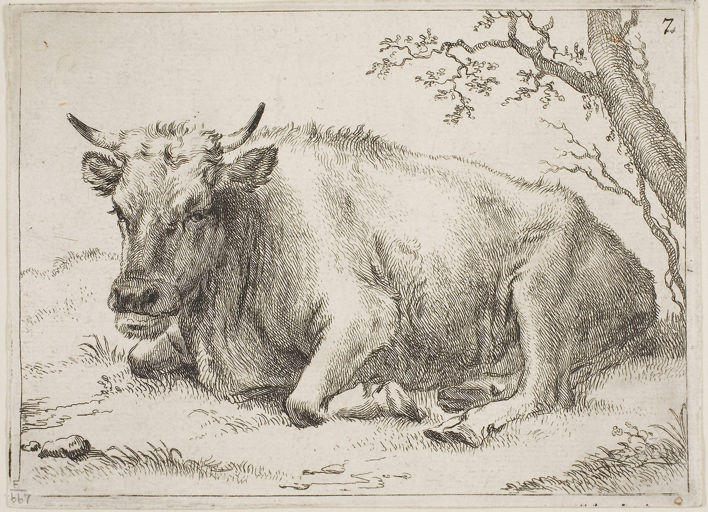 Cow Lying Down Beside a Tree -  Paulus Potter,  Poster Print Wall Art