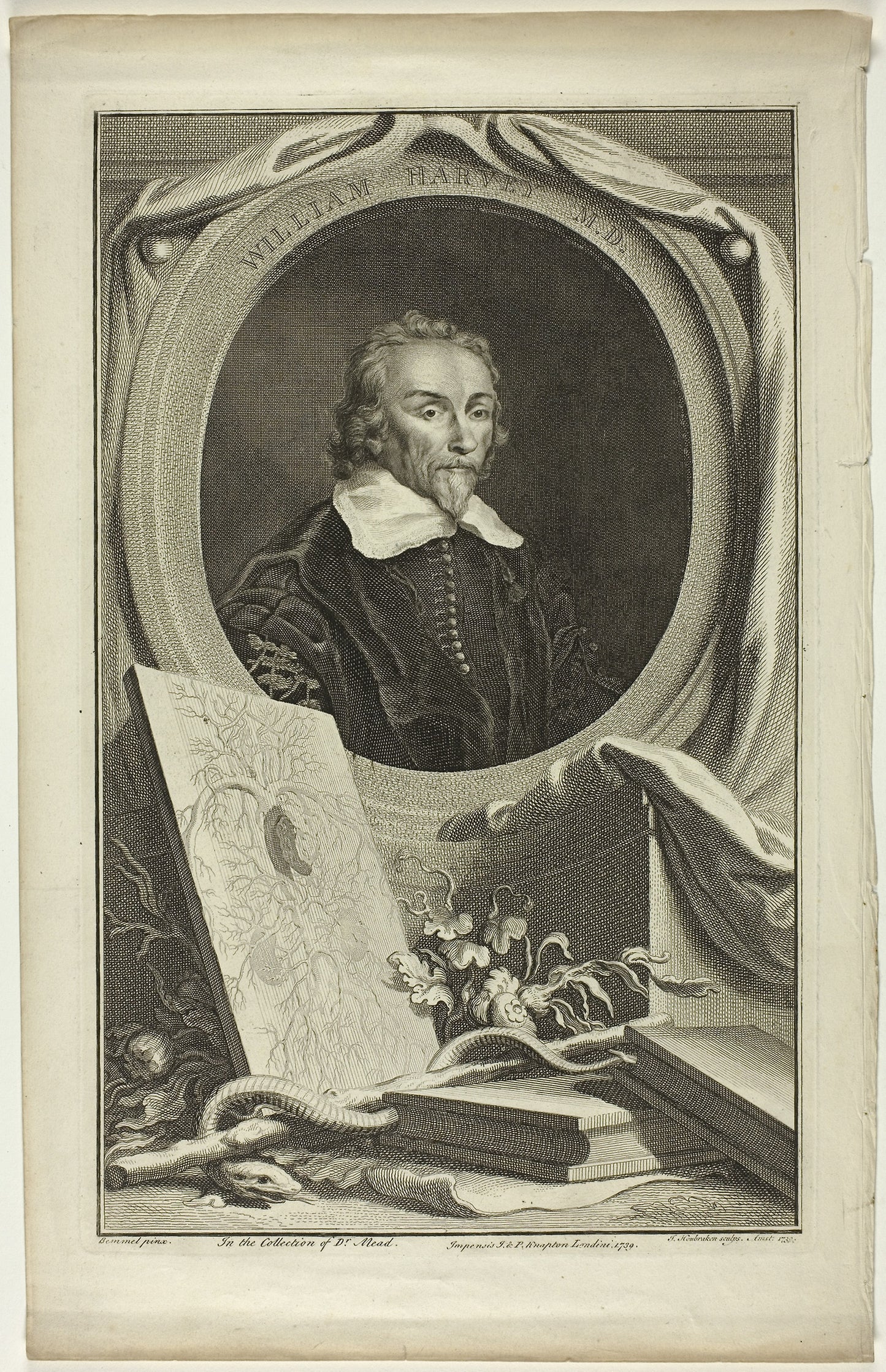 William Harvey, M.D. -  Jacobus Houbraken,  Poster Print Wall Art