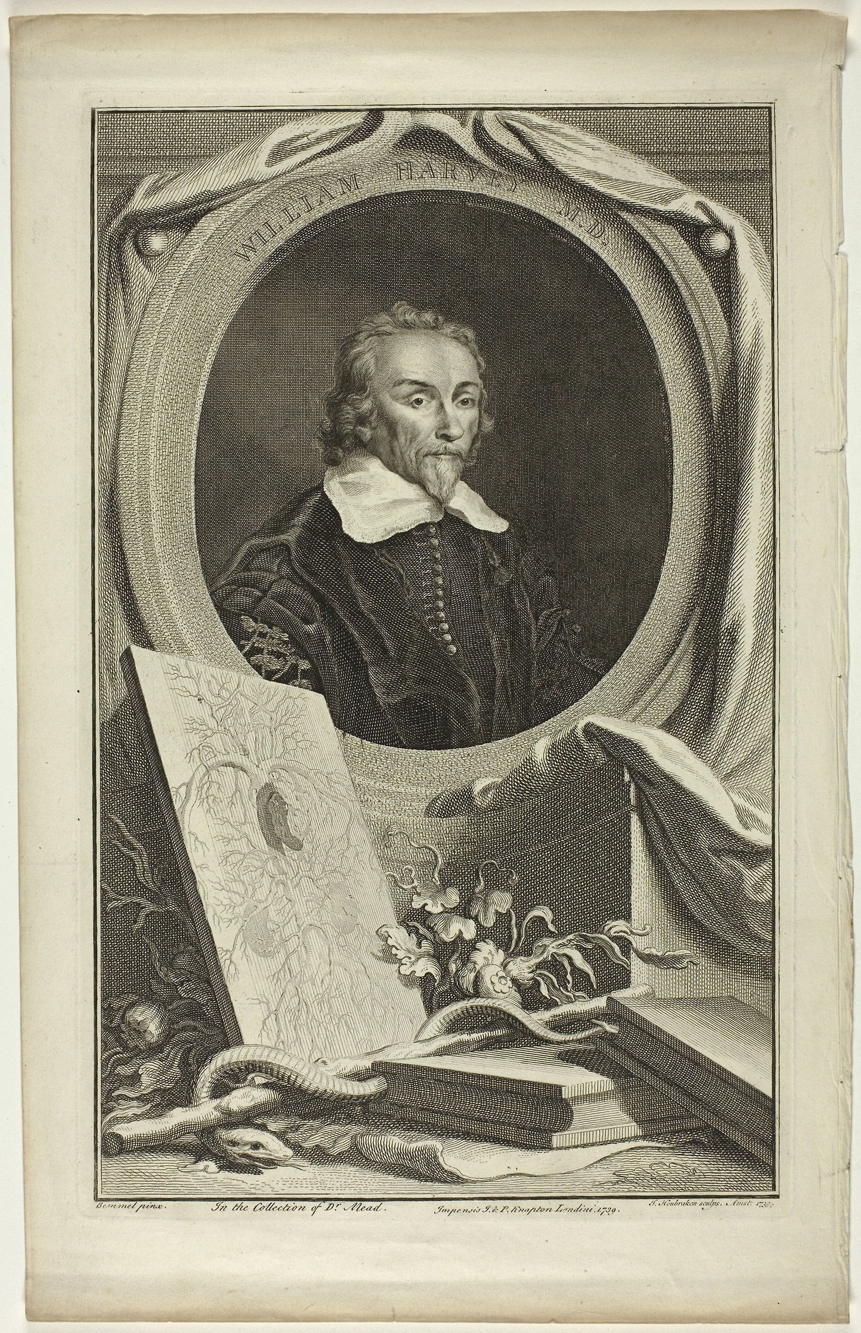 William Harvey, M.D.: Jacobus Houbraken,16x12"(A3) Poster