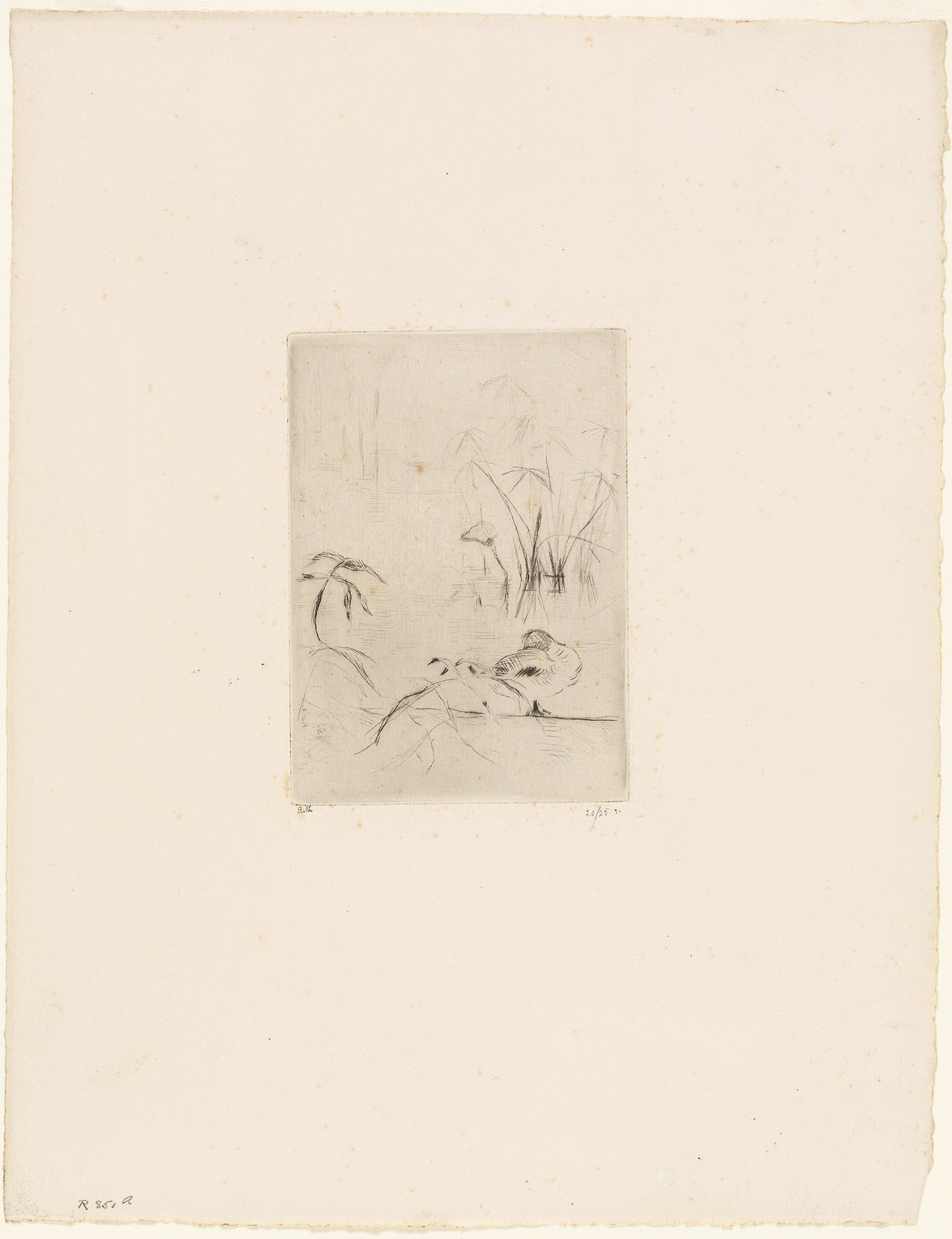 The Duck -  Berthe Morisot,  Poster Print Wall Art