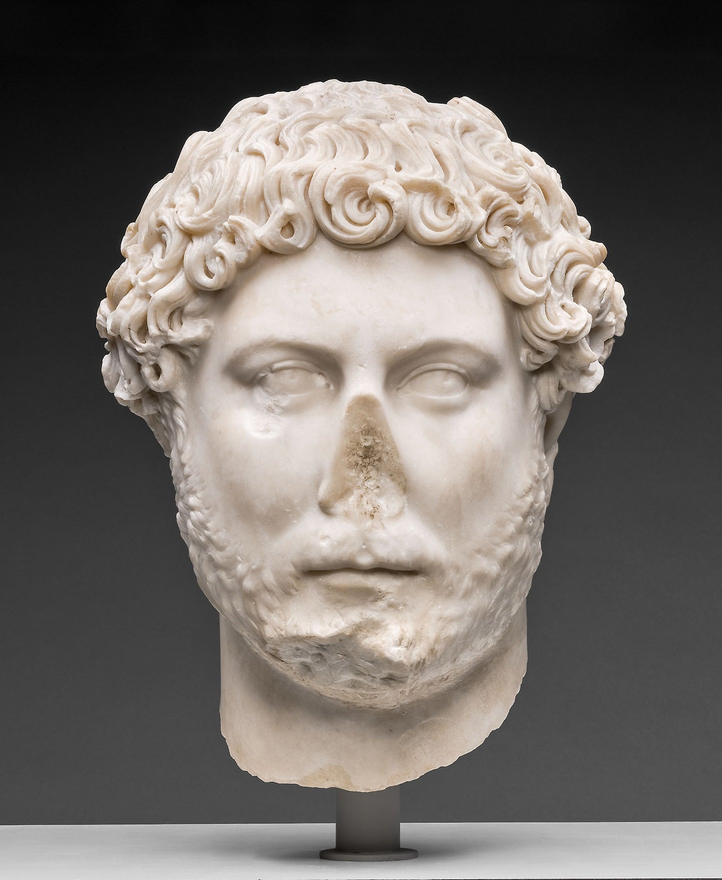 Portrait Head of Emperor Hadrian: Roman, Poster Print Wall Art