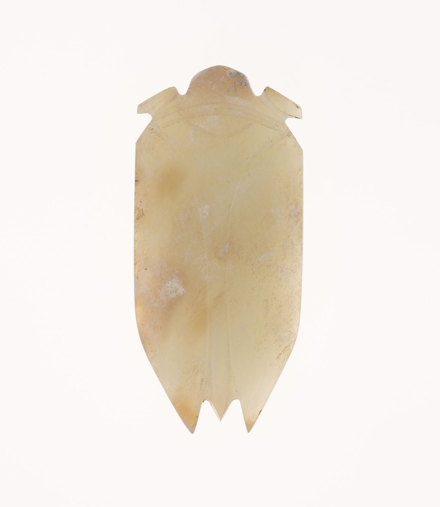 Cicada -  China,  Poster Print Wall Art