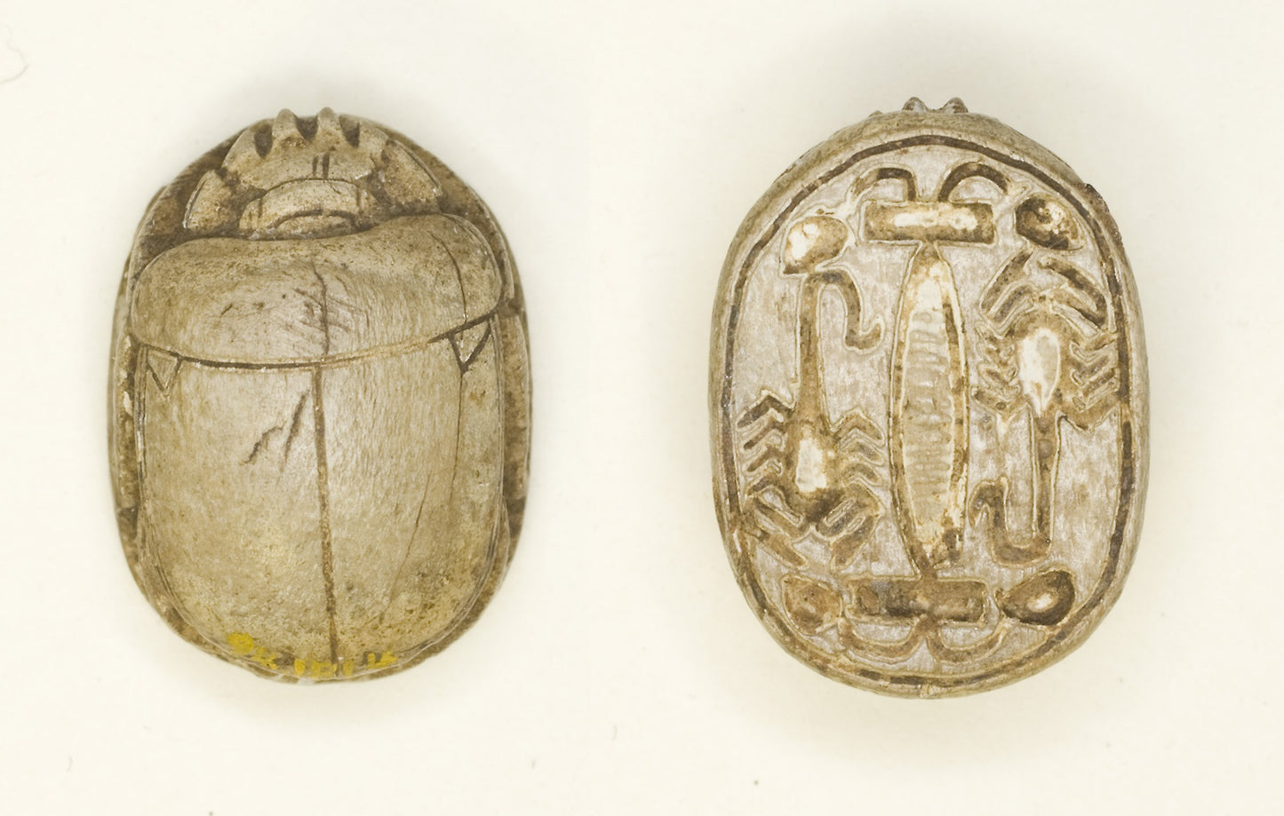 Scarab -  Scorpion Motifs -  Egyptian,  Poster Print Wall Art