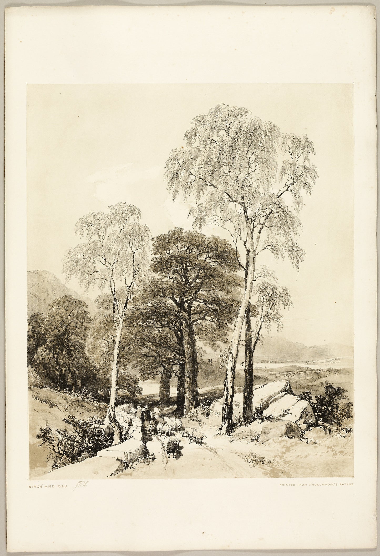 Birch and Oak, from The Park and the Forest -  James Duffield Harding (English, 1798-1863),  Poster Print Wall Art