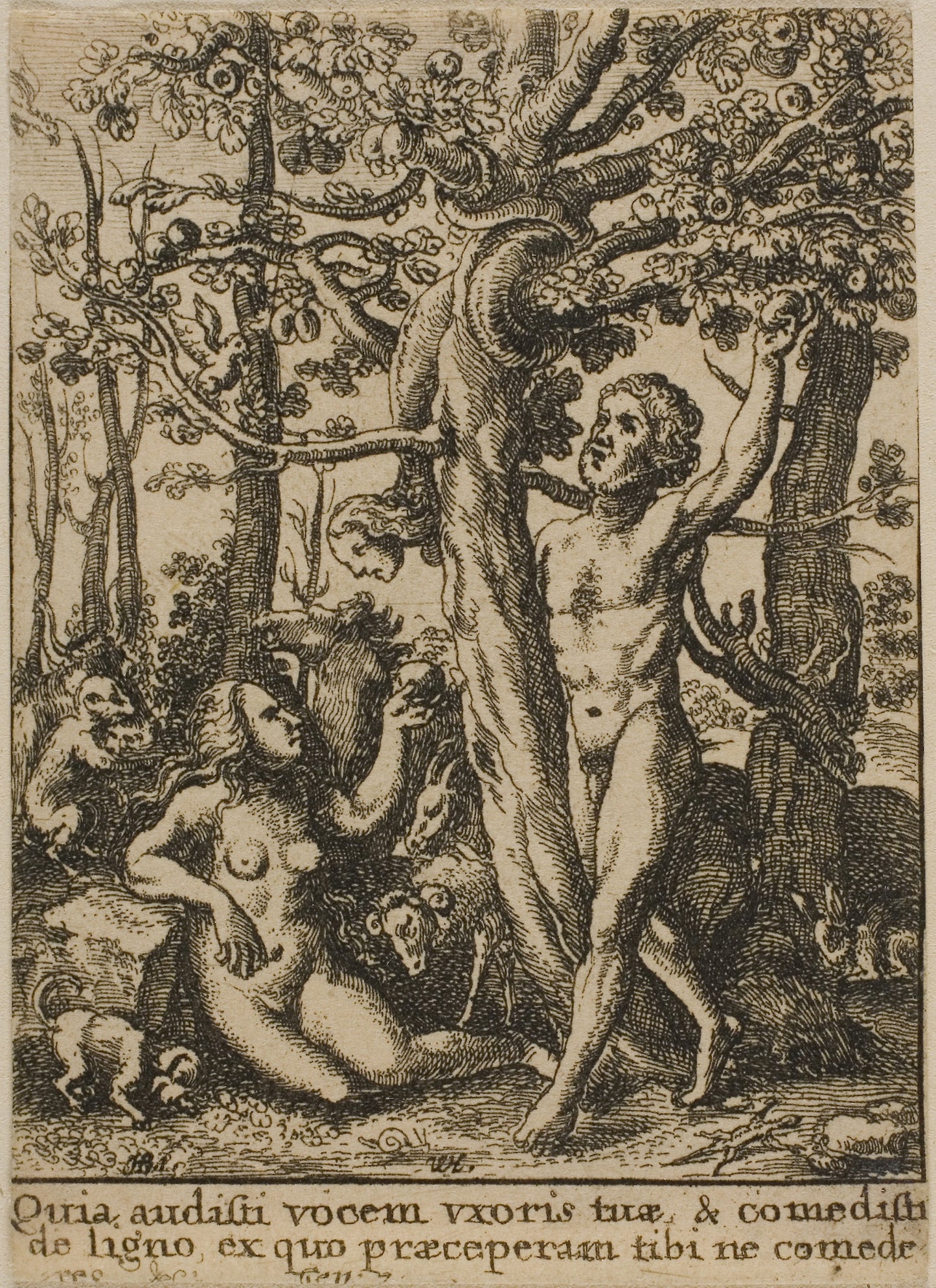 The Garden of Eden -  Wenceslaus Hollar (Czech, 1607-1677),  Poster Print Wall Art