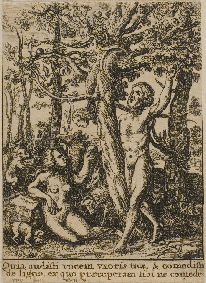 The Garden of Eden: Wenceslaus Hollar (Czech, 1607-1677),16x12