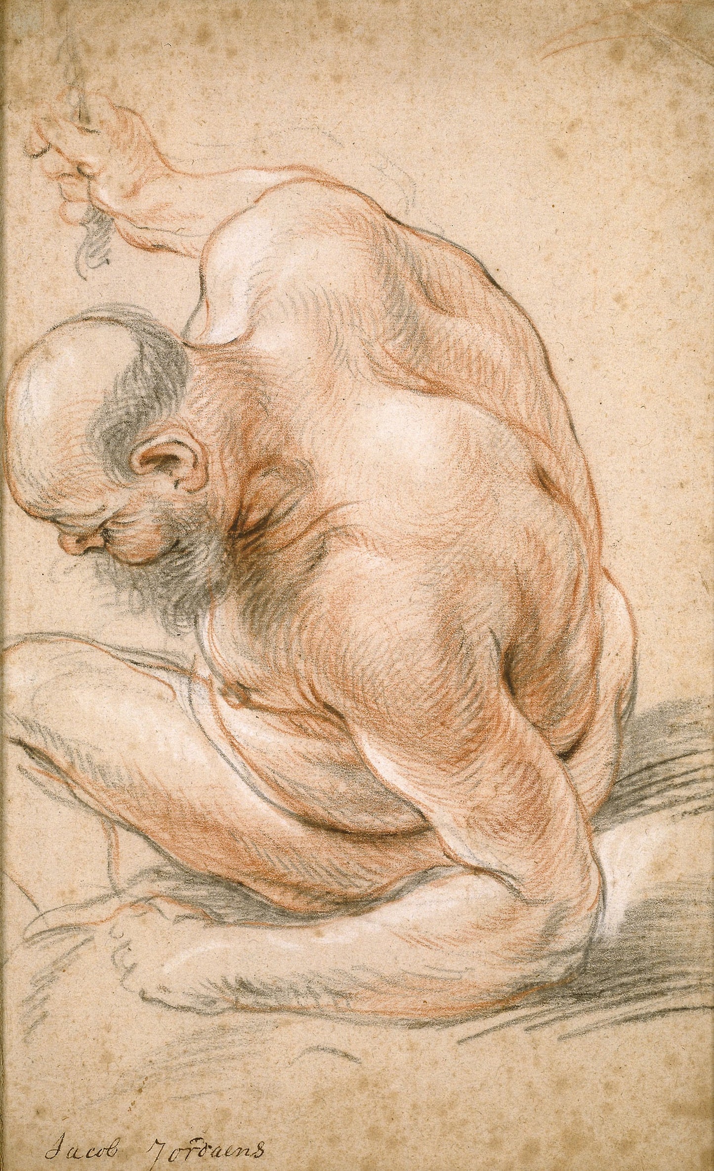 Nude Old Man Seated, Leaning on His Forearm, Facing Left -  Jacob Jordaens,  Poster Print Wall Art