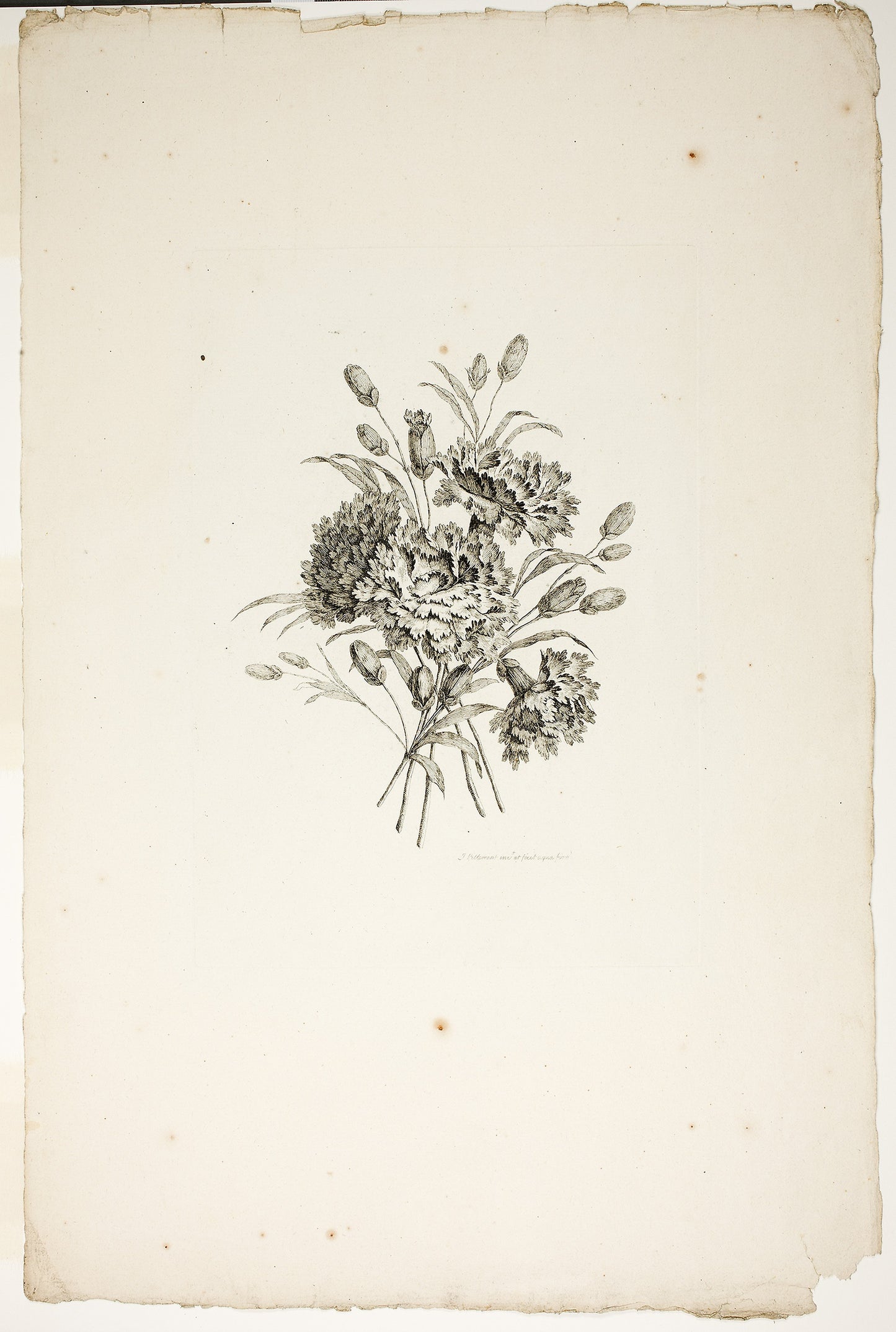 Bouquet with Carnations, from Collection of Different Bouquets of Flowers, Invented and Drawn -  Jean Pillement and Engraved -  P. C. Canot -  Pierre-Charles Canot (French, 1710-1777),  Poster Print Wall Art