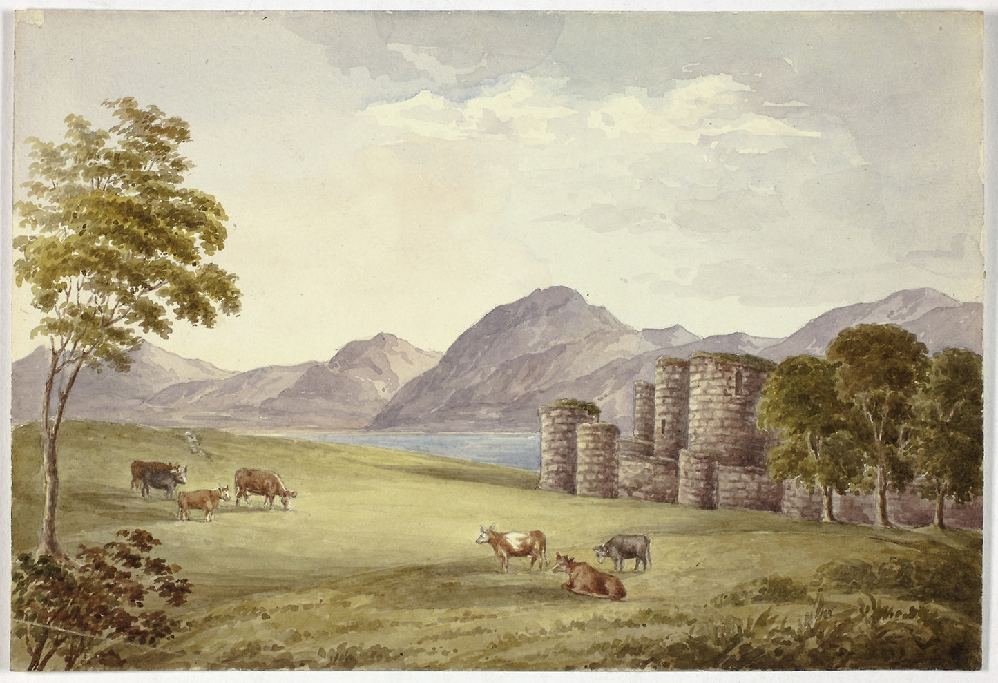 Beauman's Castle -  Elizabeth Murray,  Poster Print Wall Art
