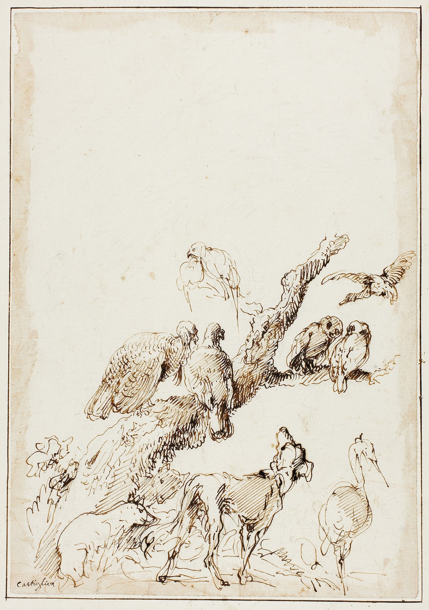 Birds and Animals around a Dead Tree -  Giovanni Benedetto Castiglione,  Poster Print Wall Art