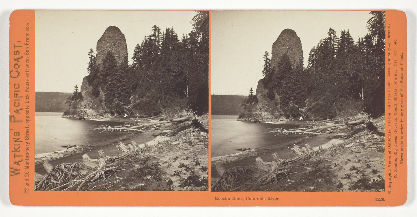 Rooster Rock, Columbia River -  Carleton Watkins,  Poster Print Wall Art