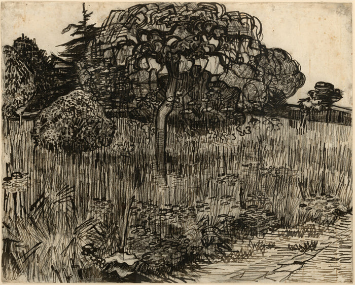 Weeping Tree by  Vincent van Gogh, 23x16