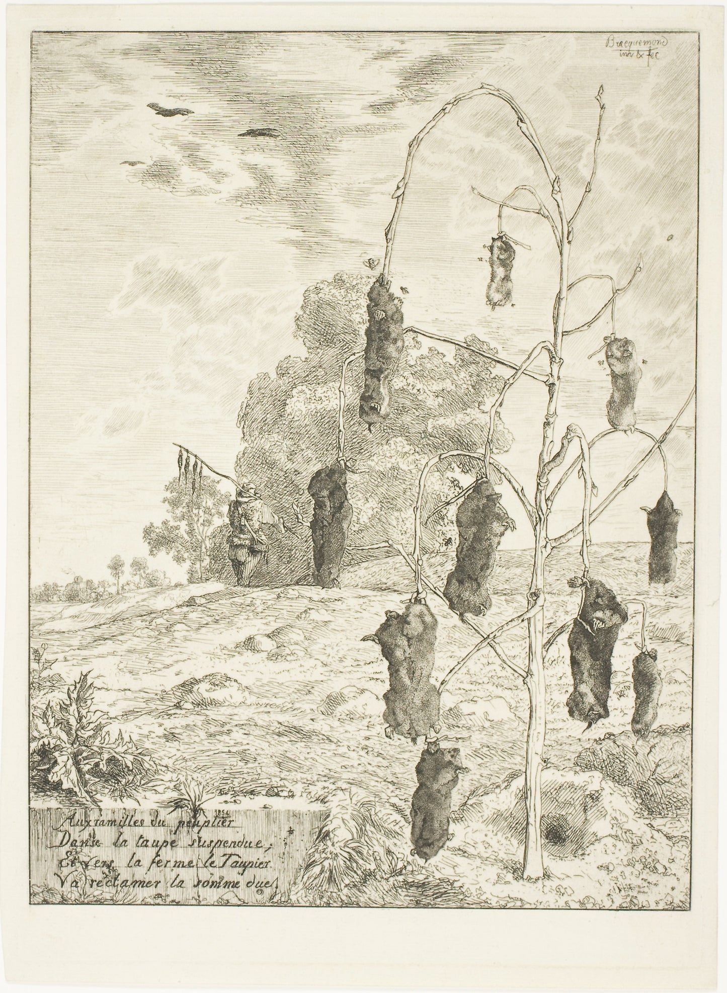 Moles -  Félix Bracquemond,  Poster Print Wall Art