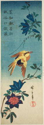 (Facsimile?) Black-naped oriole and clematis by  Utagawa Hiroshige ?? ??, 23x16"( A2 size ) Poster Print