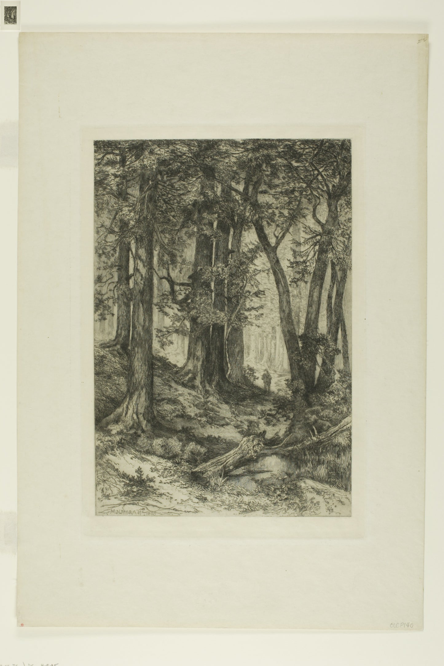 A California Forest: Mary Nimmo (American, 1842-1899),16x12"(A3) Poster