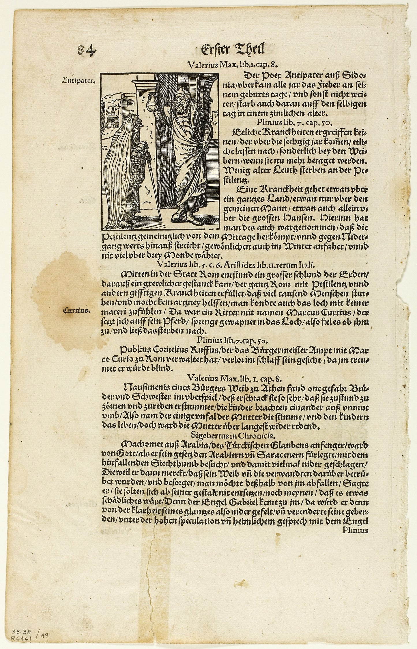 Illustration from Plinius' Naturgeschichte -  J. Heyden, plate 49 from Woodcuts from Books of the XVI Century -  Jost Amman (Swiss, 1539-1591),  Poster Print Wall Art
