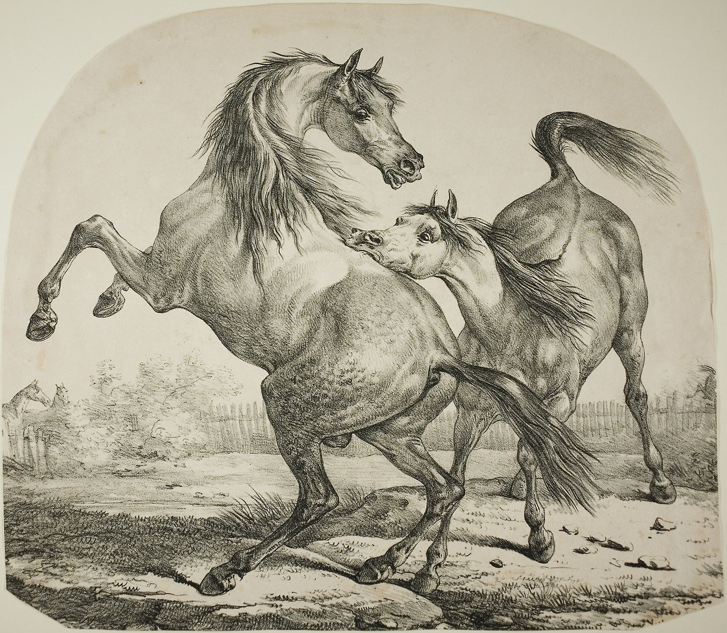 Wild Horses Fighting -  Carle Vernet (French, 1758-1836),  Poster Print Wall Art