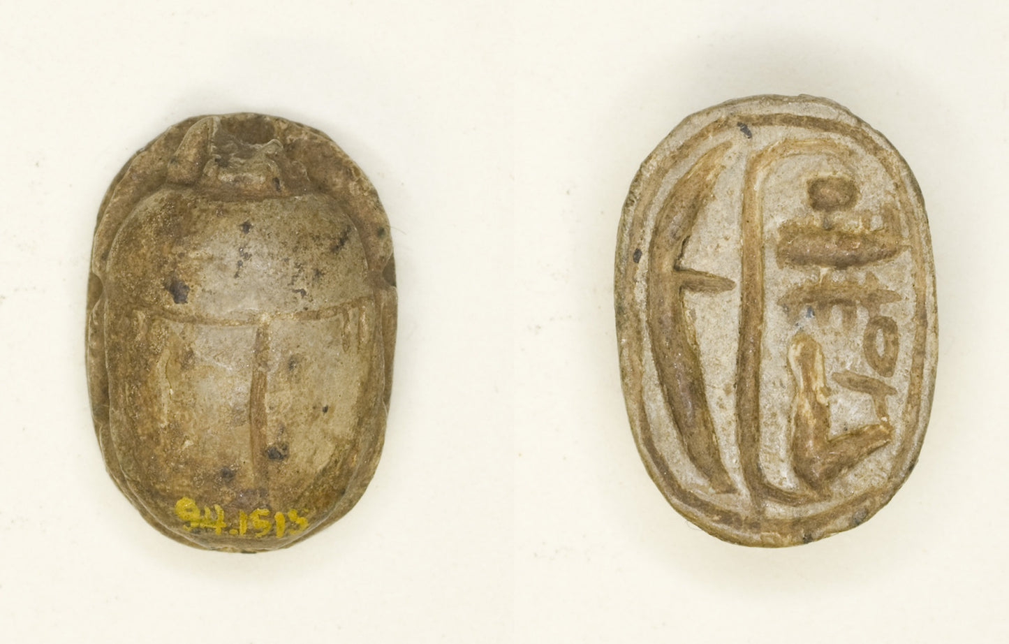 Scarab -  Menmaatra (Sety I) -  Egyptian,  Poster Print Wall Art