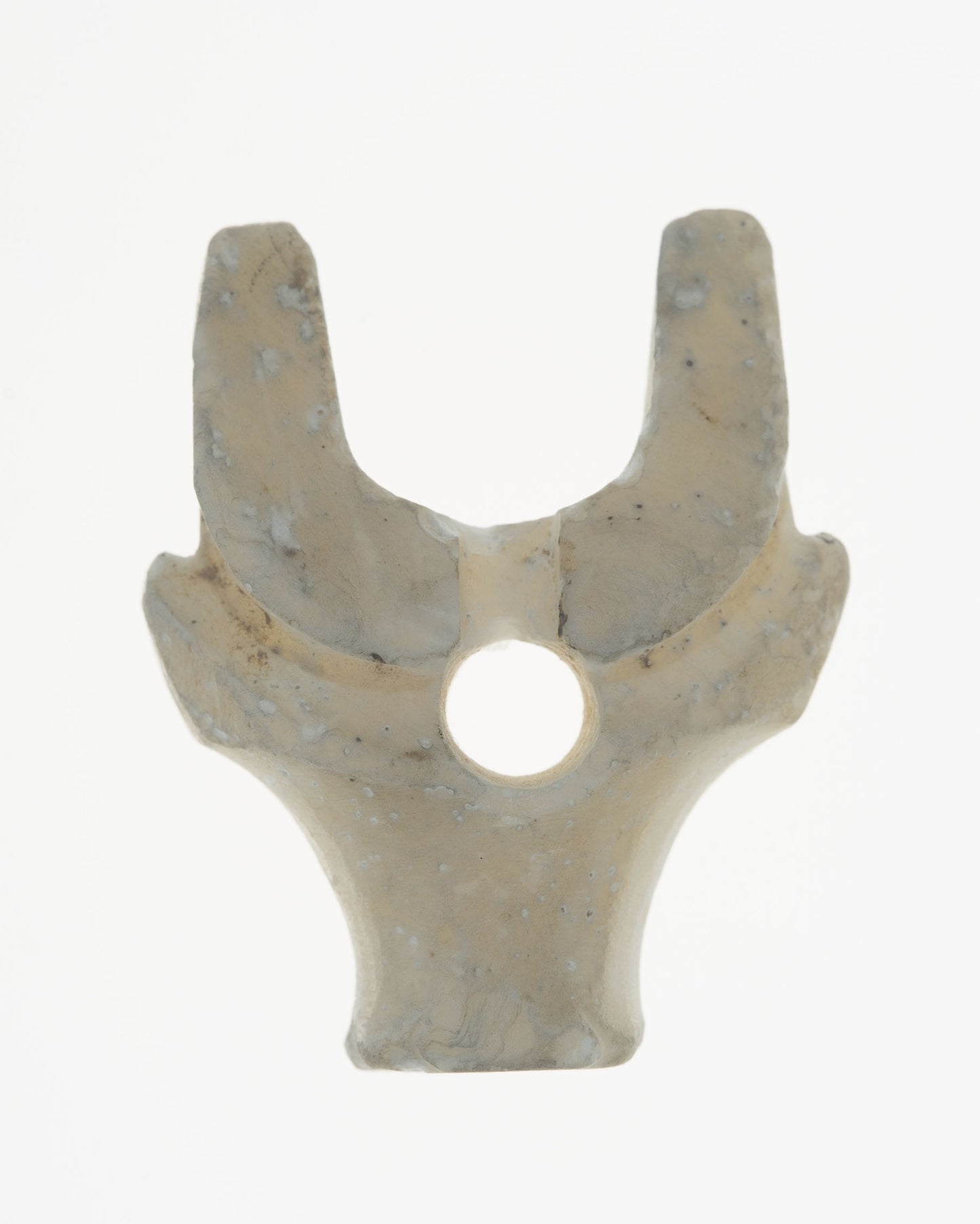 Pendant with Buffalo Head -  China,  Poster Print Wall Art