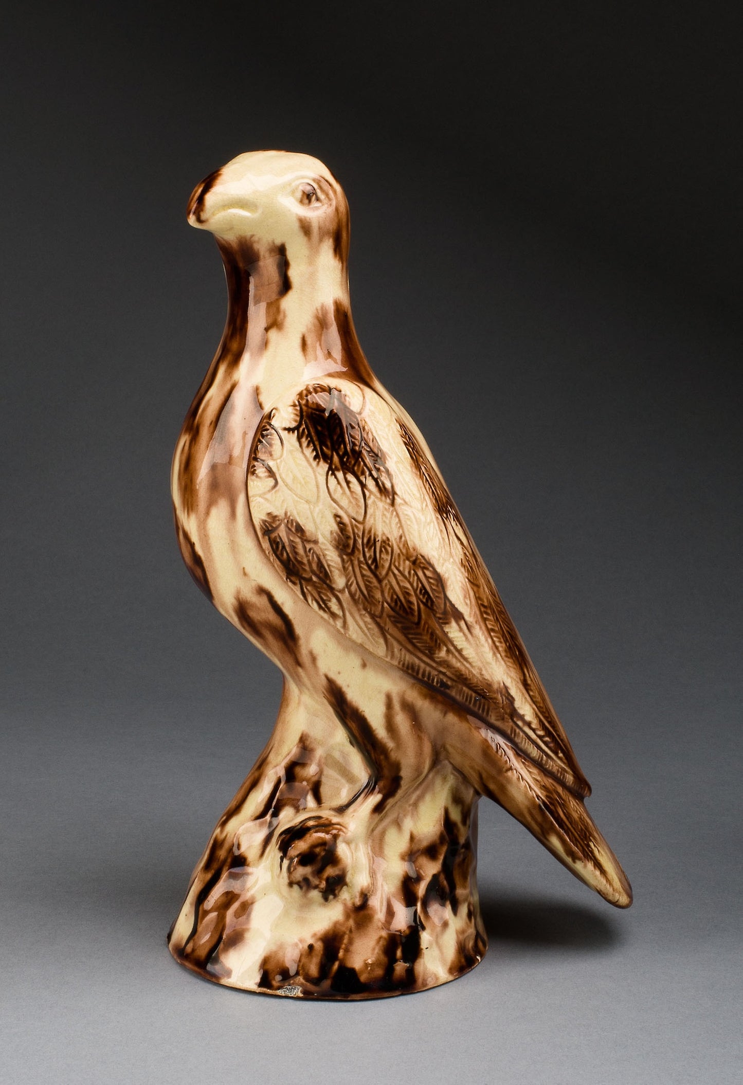 Bird -  Staffordshire, England,  Poster Print Wall Art