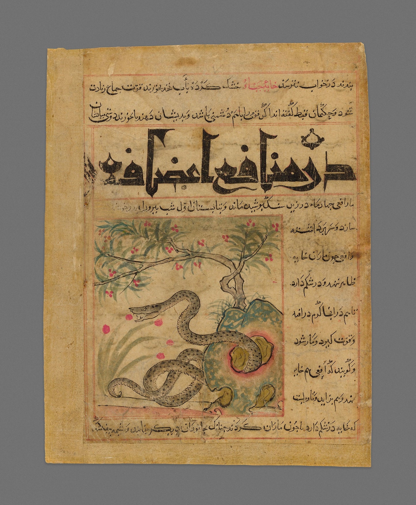 Viper in a Rocky Garden from Manafi' al-Hayawan (On the Usefulness of Animals) of Ibn Bakhtishu' -  Iran,  Poster Print Wall Art
