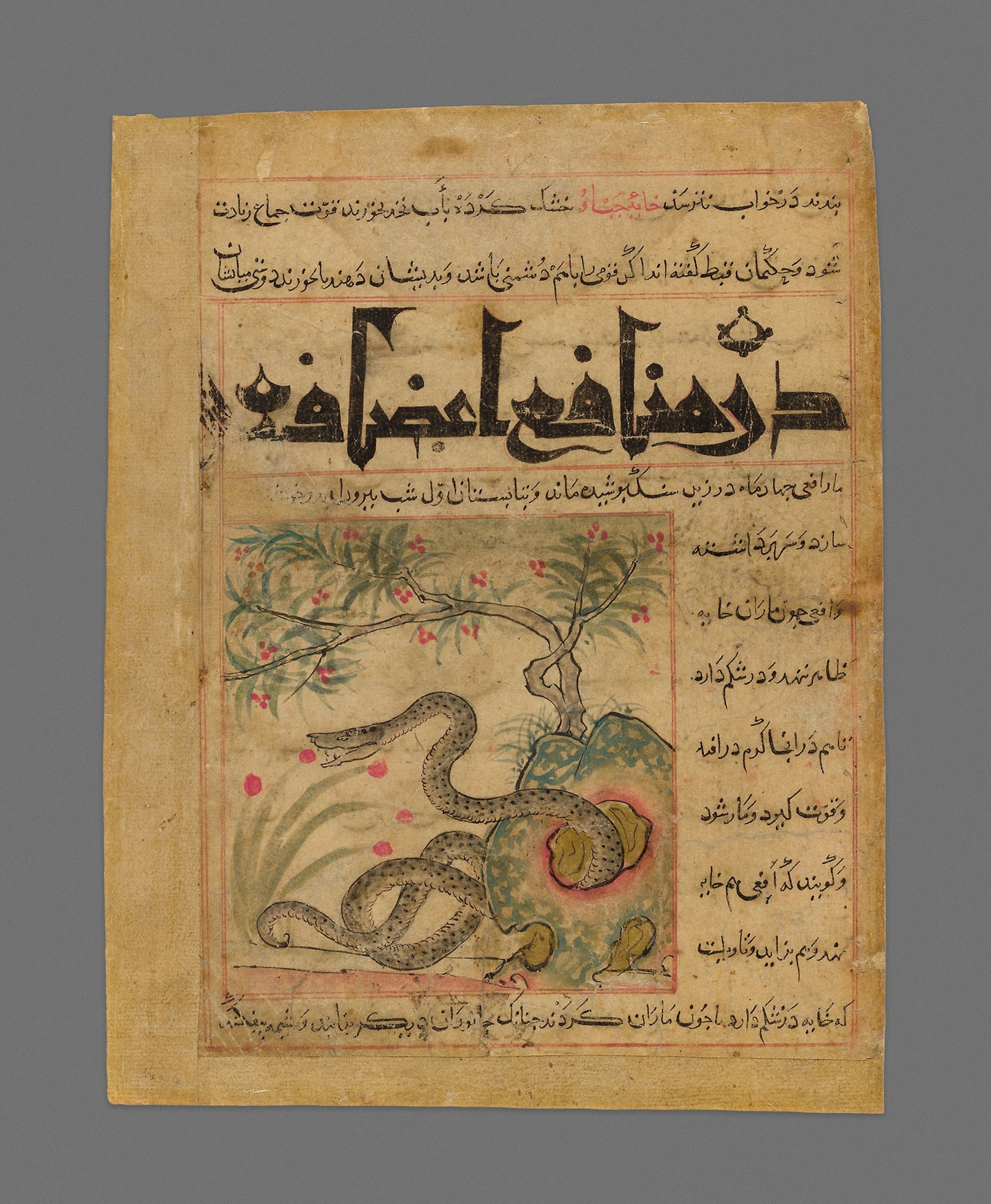 Viper in a Rocky Garden from Manafi' al-Hayawan (On the Usefulness of Animals) of Ibn Bakhtishu': Iran,16x12"(A3) Poster