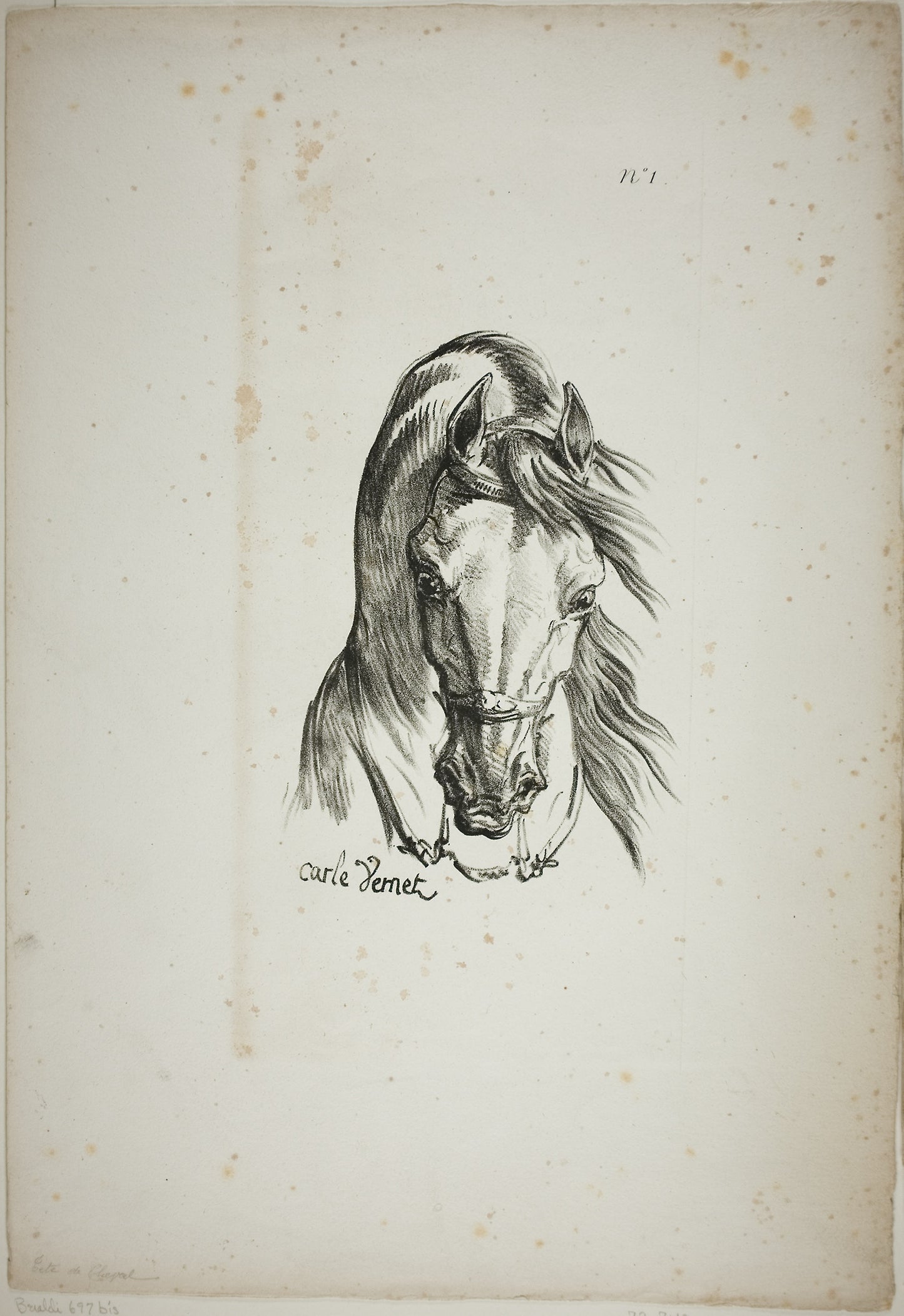 Detail of Horse's Head, Enlarged to Triple Size, Norman Royal Guard, No. 1 -  Carle Vernet (French, 1758-1836),  Poster Print Wall Art