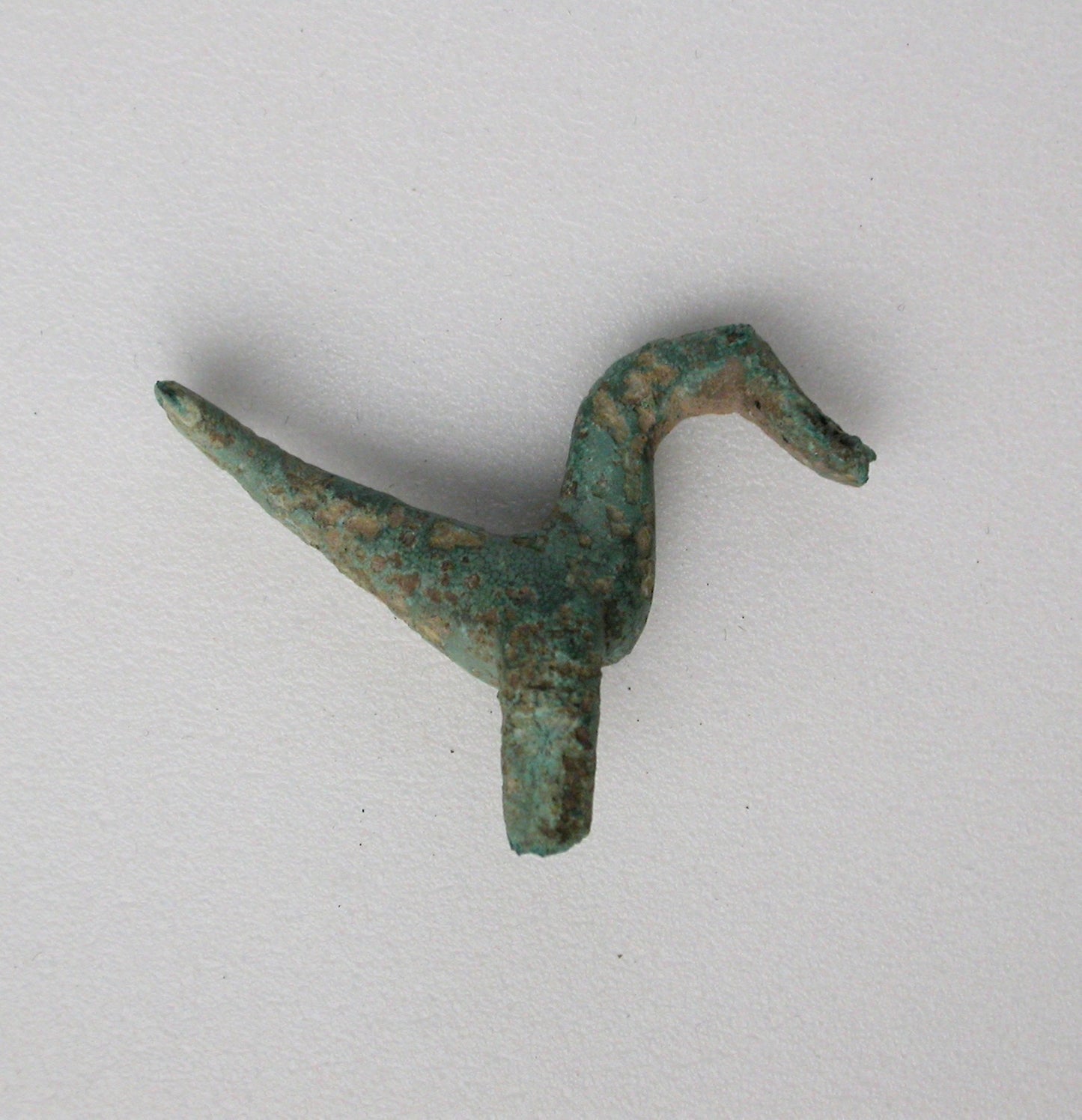 Bird with Flat Tail -  Greek; Thessaly,  Poster Print Wall Art