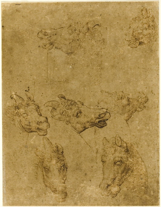 Heads of Horses and Unicorns: Follower of Leonardo da Vinci,16x12"(A3) Poster
