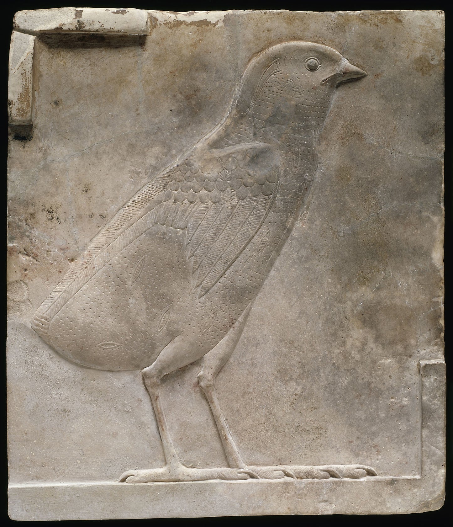 Plaque Depicting a Quail Chick -  Egyptian,  Poster Print Wall Art